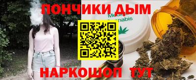 шишки Тара