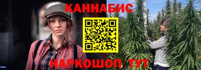 шишки Тара