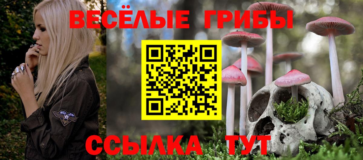 Галлюциногенные грибы Cubensis Самара